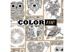 Letölthető termékek