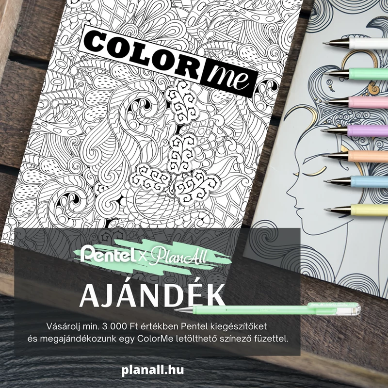 ColorMe színező füzet (Letölthető)