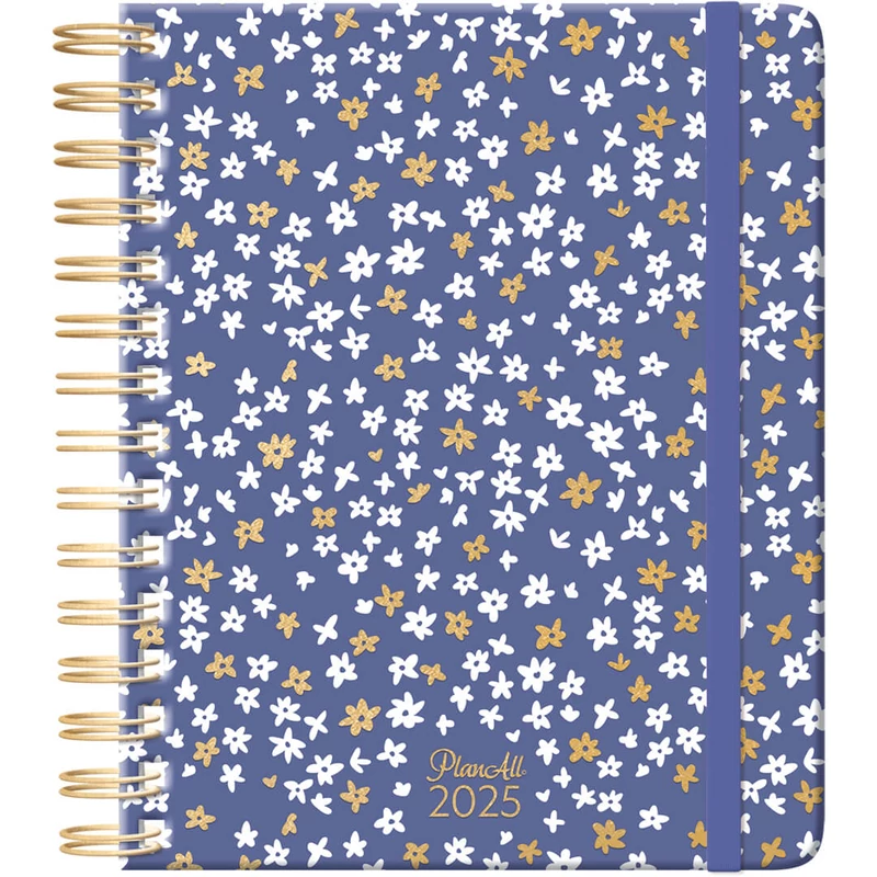 Planall Classic Spirál 2025 TINY TINT
